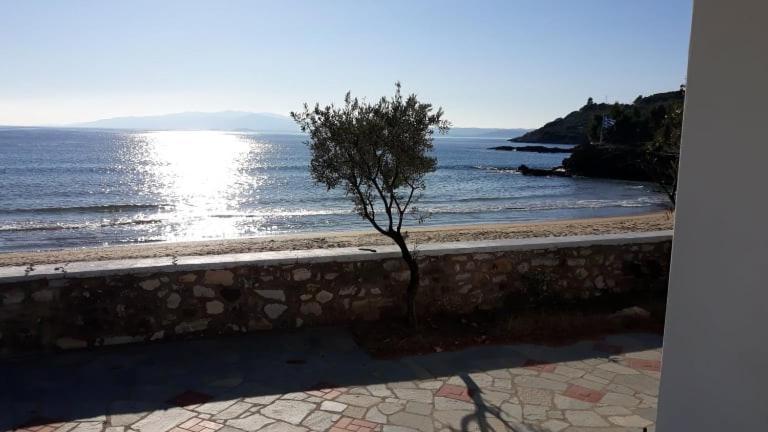 House Kokkalas On The Beach Pyrgadikia Exterior foto